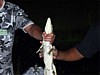 Caiman-hunt-3.jpg