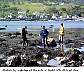 arran79.JPG