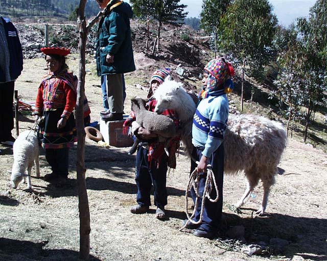cusco101