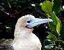 DarwinBay28.jpg