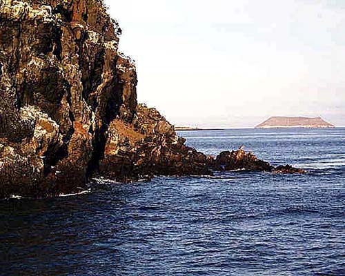 N-Seymour3