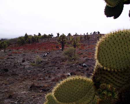 S-Plaza10