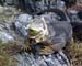 S-Plaza61