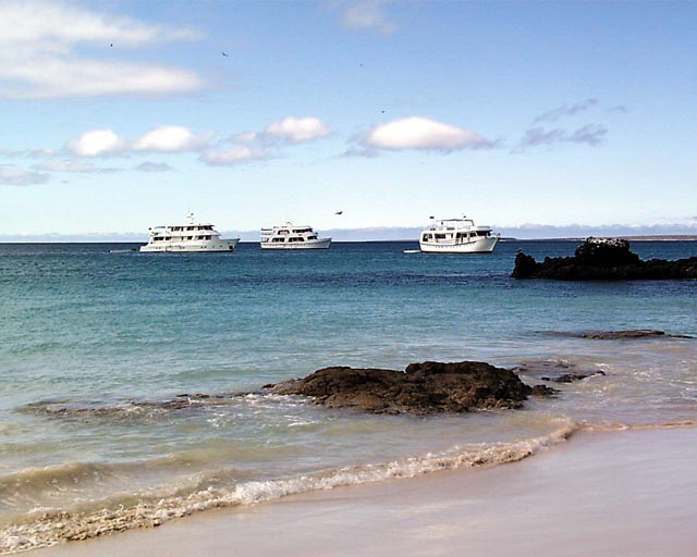 S-Cruz35