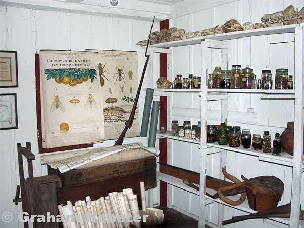 Bertoli-laboratory-2