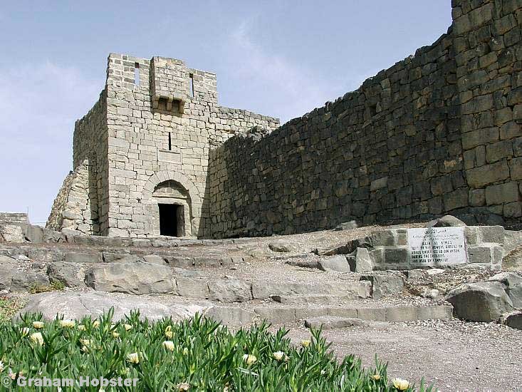 jsw_qal'at_al-azraq_-_01.jpg