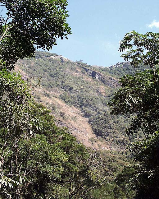 agua-cal36