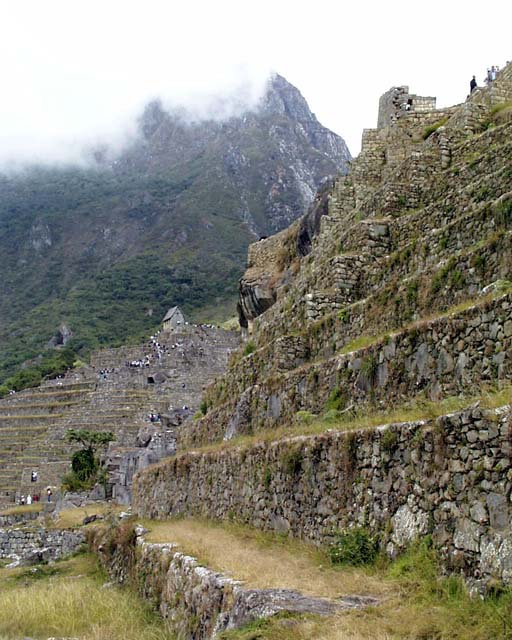 macchu56
