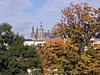 Prague -49.jpg