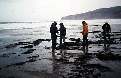 BoggleHole13