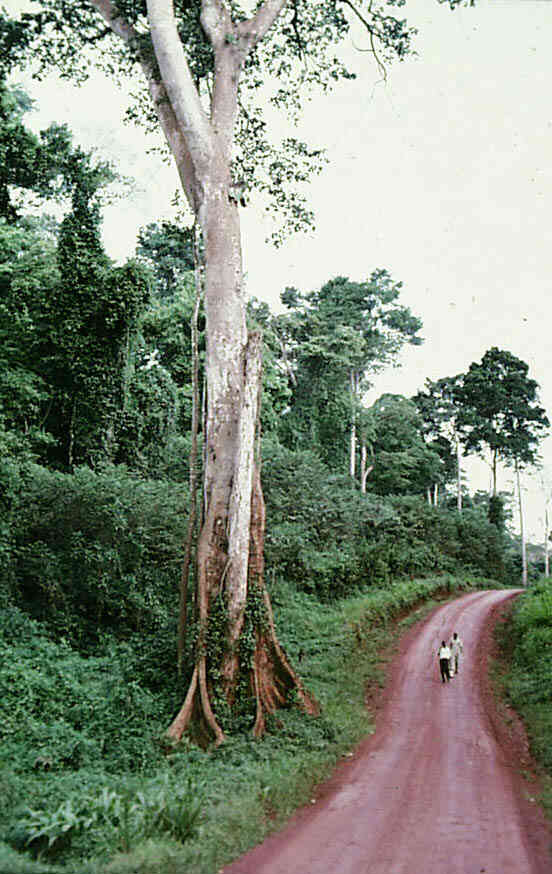 Uganda690048.JPG